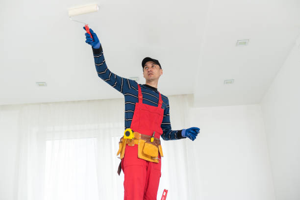 Best Drywall Removal and Disposal  in Green Springs, OH